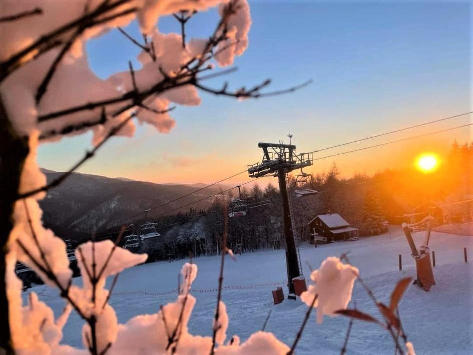 Ubytování U Janičky Klíny Esterno foto